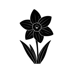 Daffodil Silhouette vector illustration