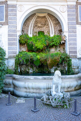 The Basilica of Maxentius, sometimes known as the Basilica Nova or, less commonly, the Basilica of...