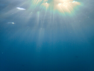 The sun shines through water, casting mottled light and shadow, intertwined with countless bubbles underwater, like a dance of light. Various aquatic, fish swimming in water in Mediterranean sea.