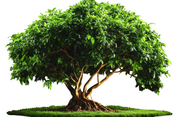 Realistic tree with lush green leaves stands prominently, showcasing its vibrant foliage and sturdy trunk. This natural beauty evokes sense of tranquility and connection to nature