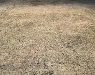 Grungy Concrete Surface Texture from Bangkok Street