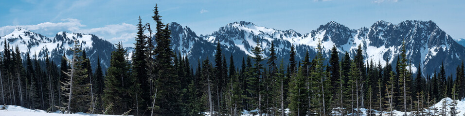 Northern Cascades from Paradise, Mount Rainier.