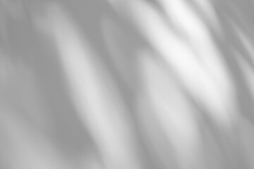 Wall interior background, studio and backdrops show products.with shadow from window color white and grey. background for text insertion and presentation product	