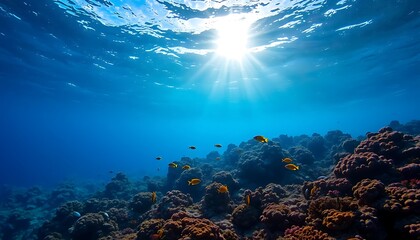 Fototapeta premium Sunlit Coral Reef: Vibrant Fish and Serene Underwater Scene