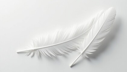Obraz premium Close-up of pristine white feathers on pure white backdrop, fresh, bird