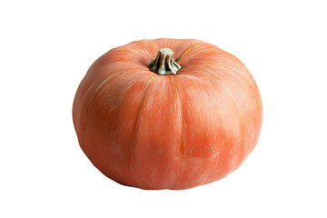 A realistic photograph of an orange pumpkin isolated on a transparent background PNG