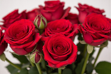 bunch of red roses that are growing in a garden