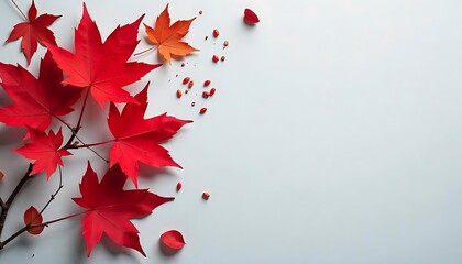 A light gray background with a bunch of red maple leaves scattered around it. Concept of autumn and the beauty of nature, Happy Victoria Day with copy space for text, created with generative ai