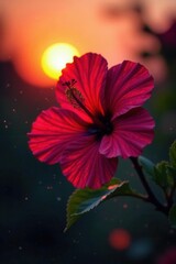 Intricate hibiscus silhouette against sunrise, vibrant hues, graphic, elegance