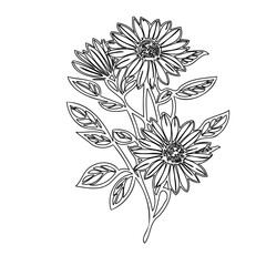 Elegant monochrome botanical illustration of sunflowers in a stylized design