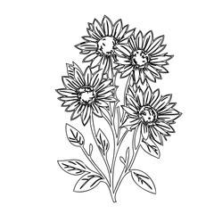Monochrome floral artwork featuring sunflowers with detailed line work illustration
