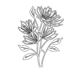 Elegant Floral Arrangement: A Delicate Line Art Illustration of Blossoms and Foliage