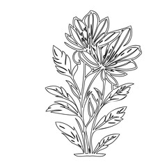 Delicate flower line art illustrating nature's beauty with clean outlines