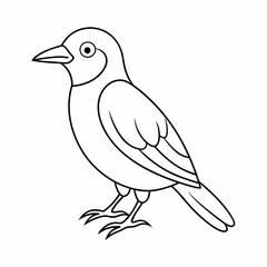 Bird seamless set on white background. Sketch of bird on white board. Line art of animal