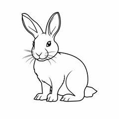 Rabbit seamless set on white background. Sketch of rabbit on white board. Line art of animal