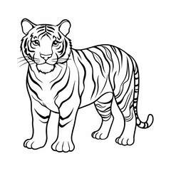 Tiger seamless set on white background. Sketch of tiger on white board. Line art of animal