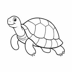 Turtle seamless set on white background. Sketch of turtle on white board. Line art of animal