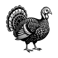 Turkey silhouette vector illustration

