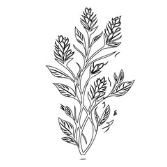 Delicate floral arrangement showcasing sketched foliage and blooming buds illustration