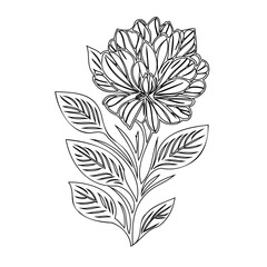 Elegant floral illustration featuring a stylized blossom with layered petals