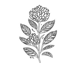 Elegant monochrome botanical illustration featuring a stylized floral arrangement