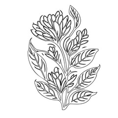 Elegant botanical illustration featuring a stylized floral arrangement design