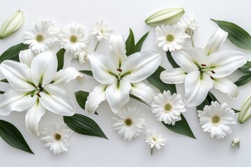 Fototapeta premium A serene arrangement of pure white lilies and daisies, elegantly placed on a crisp white background for a clean monochrome aesthetic.
