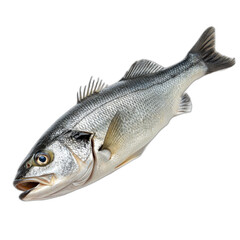 Obraz premium A colorful fish with scales and fins, isolated on transparent background.