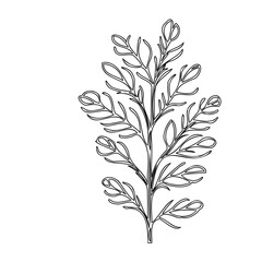 Delicate botanical illustration featuring a stylized leafy branch on a clean white backdrop