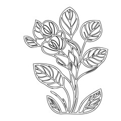 Elegant floral outline illustration for coloring books or minimalist design projects
