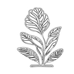 Elegant botanical illustration featuring stylized flower and leaves in outline style