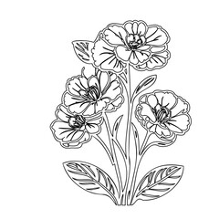 Elegant floral arrangement illustration with fine line work on a pristine background