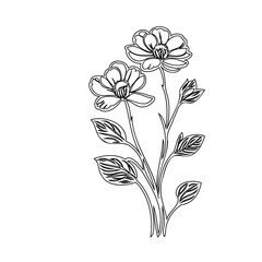 Elegant botanical line art portraying a delicate floral arrangement on white