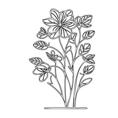 Minimalist botanical illustration of a blooming plant with detailed line work