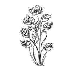 Elegant floral illustration featuring delicate blooms and graceful foliage outline