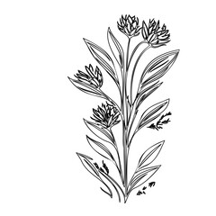 Delicate floral arrangement rendered in minimalist black line art style