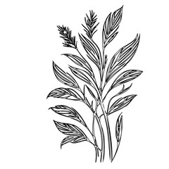 Elegant botanical illustration featuring stylized leaves and sprigs in black line work