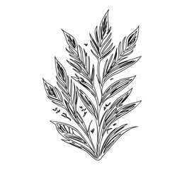 Delicate botanical illustration: stylized foliage with intricate lines and textures