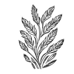 Elegant botanical illustration of a stylized leafy plant in black and white