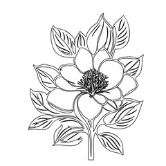 Elegant floral arrangement illustration showcases natural beauty in simple lines