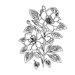 Elegant botanical line art showcasing blooming magnolias and delicate foliage