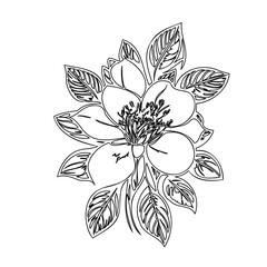 Elegant botanical drawing featuring a blooming flower with decorative foliage