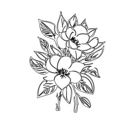 Elegant botanical drawing: a delicate floral illustration in minimal black lines