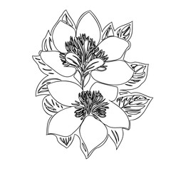 Fototapeta premium Elegant floral line art depicting blooming exotic flowers with detailed leaves
