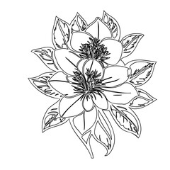 Detailed Line Drawing: Floral Arrangement with Open Blossoms and Leafy Surround