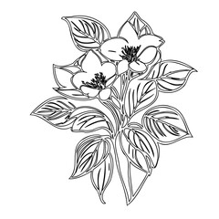 Delicate floral bouquet with bold outlines, a minimalist art piece with petals and leaves