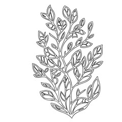 Elegant Botanical Line Art: Delicate Foliage Illustration for Creative Designs