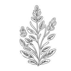 Delicate botanical illustration featuring symmetrical leaf arrangements in monochrome