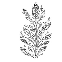 Elegant botanical illustration featuring delicately drawn leaves and flower cluster
