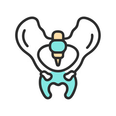 Detailed Pelvic Bone Structure Illustration on Black Background